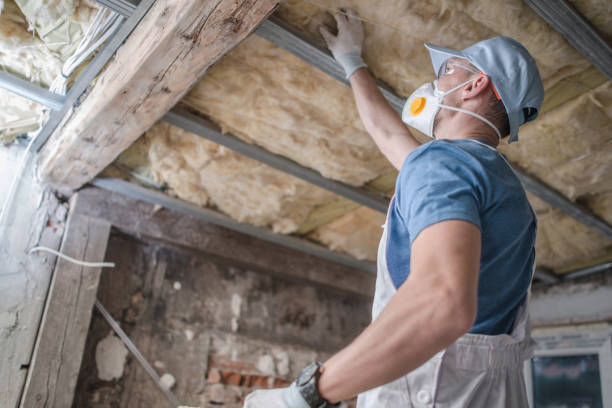 Best Insulation Installation Services in Rocky Point, NY